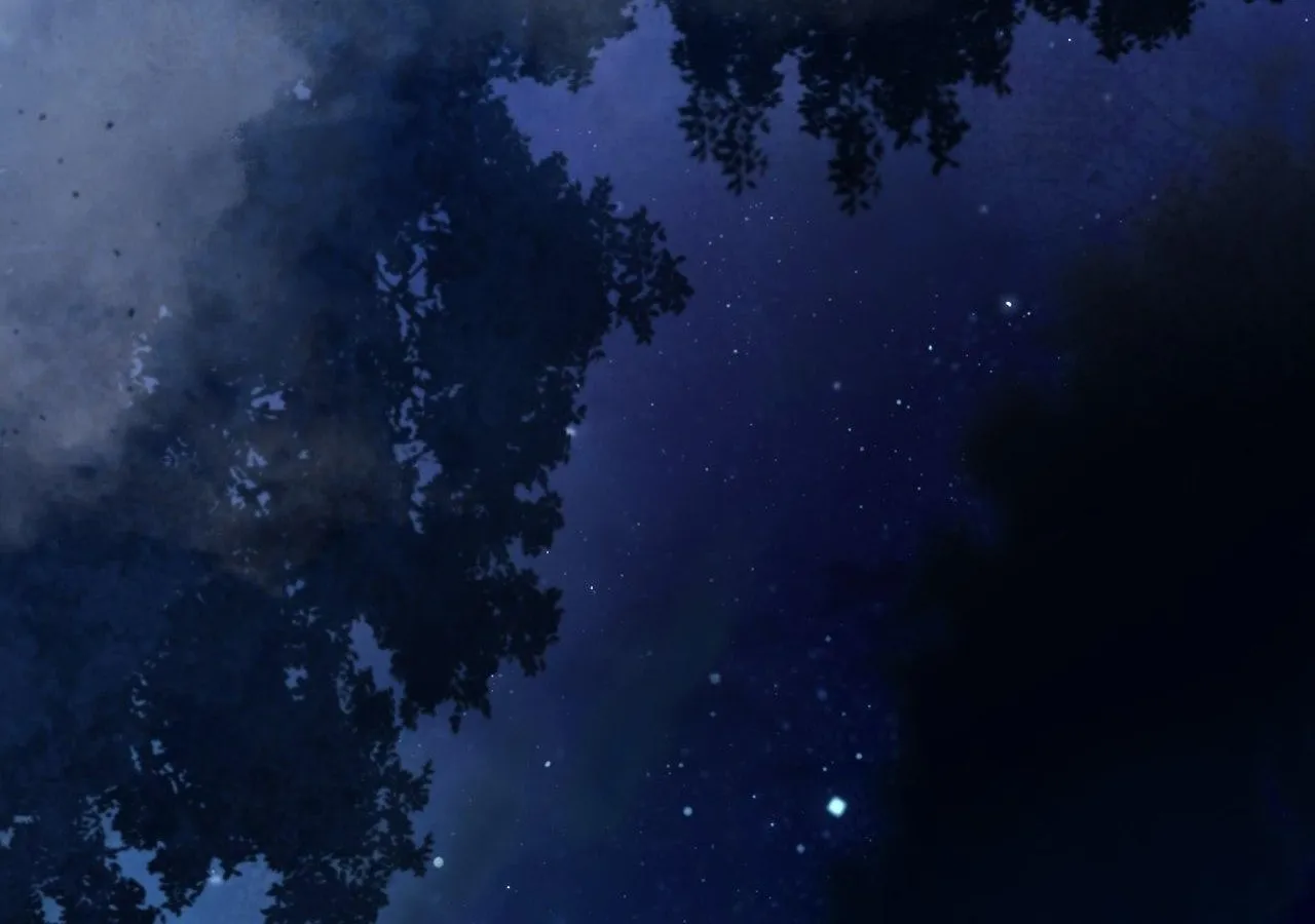 To the Witch Who Forgot the Birds Chapter 40 page 30 - 
