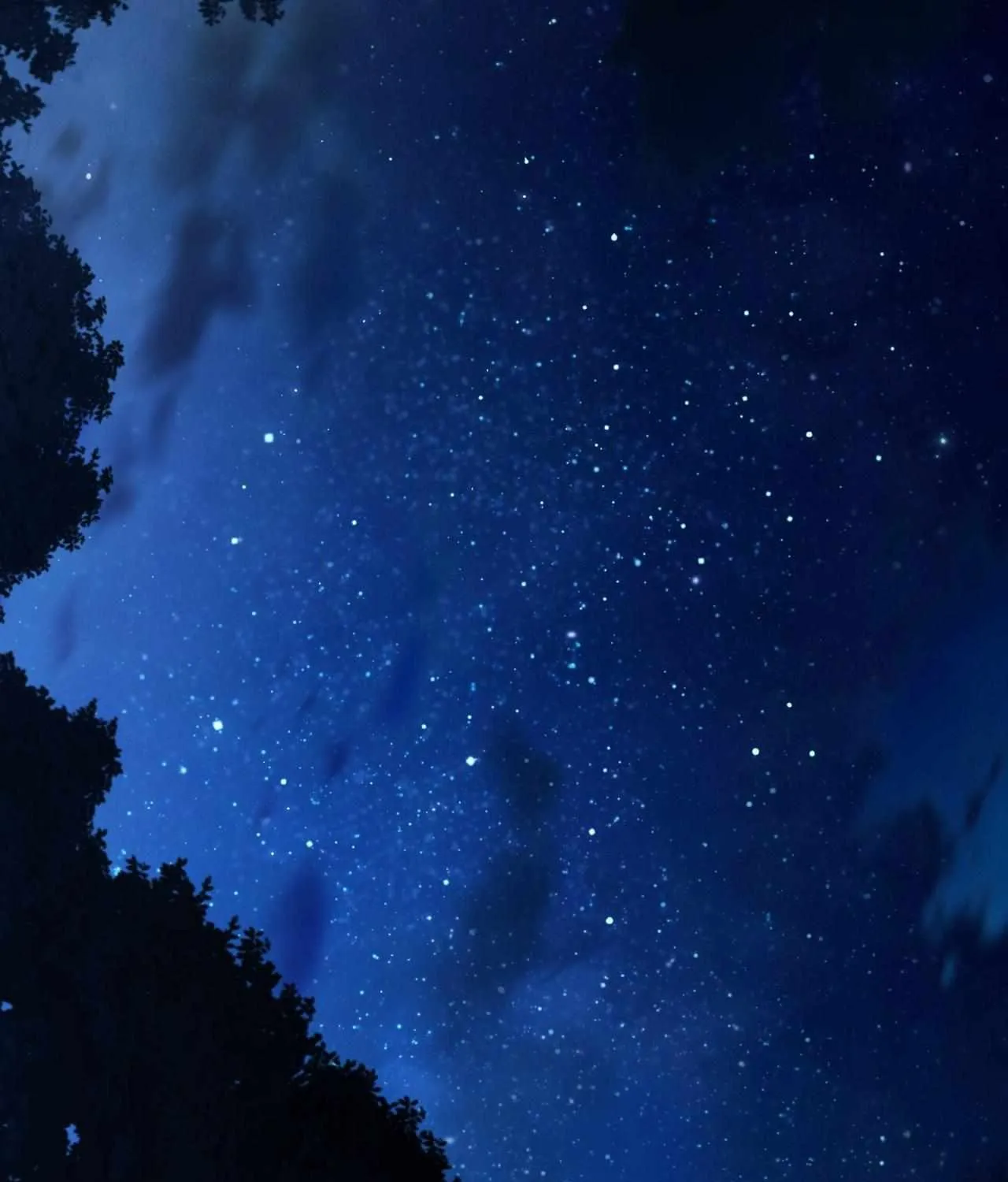 To the Witch Who Forgot the Birds Chapter 40 page 31 - 