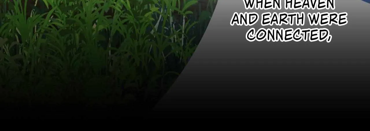 To the Witch Who Forgot the Birds Chapter 41 page 50 - 