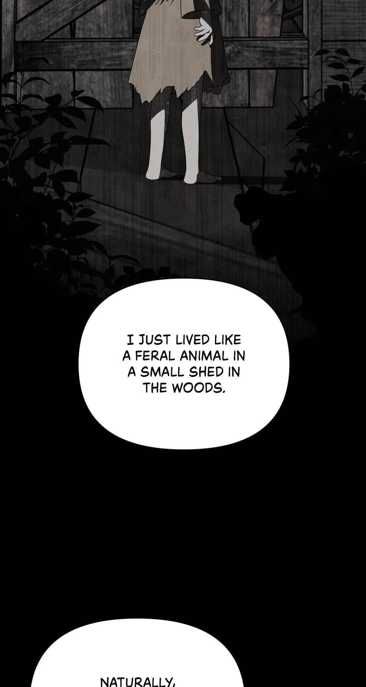 To the Witch Who Forgot the Birds Chapter 47 page 41 - 