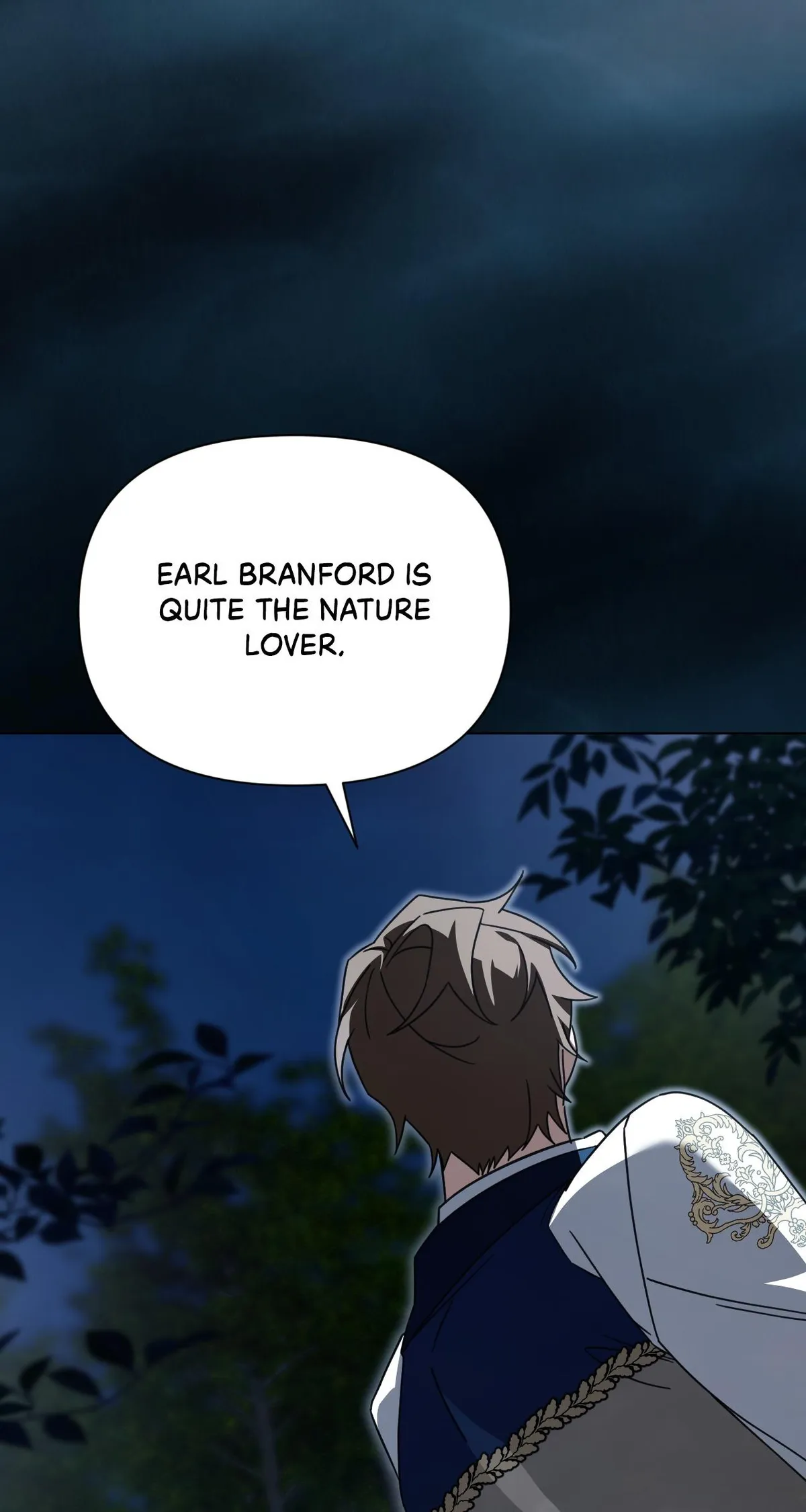 To the Witch Who Forgot the Birds Chapter 48 page 11 - 