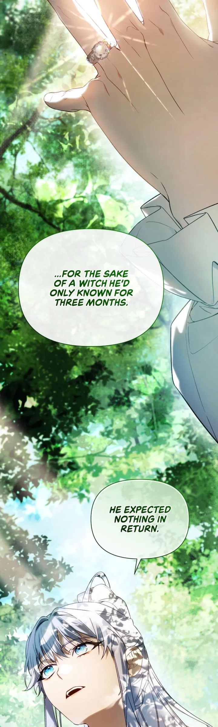 To the Witch Who Forgot the Birds Chapter 51 page 42 - 