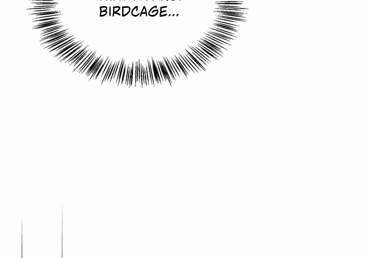 To the Witch Who Forgot the Birds Chapter 9 page 108 - 