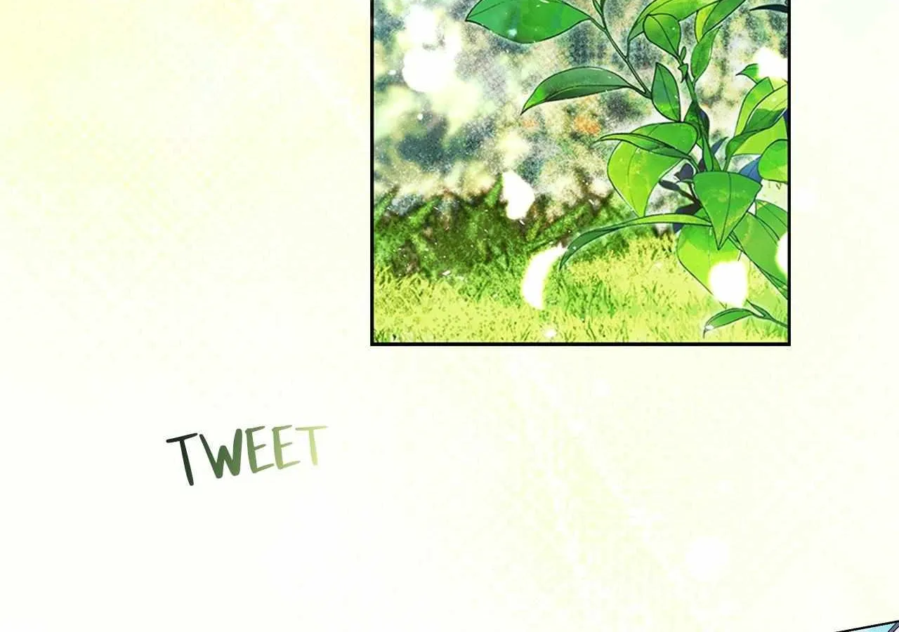 To the Witch Who Forgot the Birds Chapter 9 page 139 - 