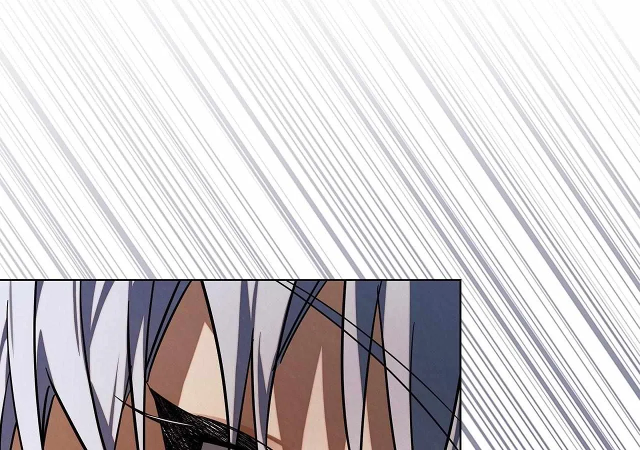 To the Witch Who Forgot the Birds Chapter 9 page 161 - 