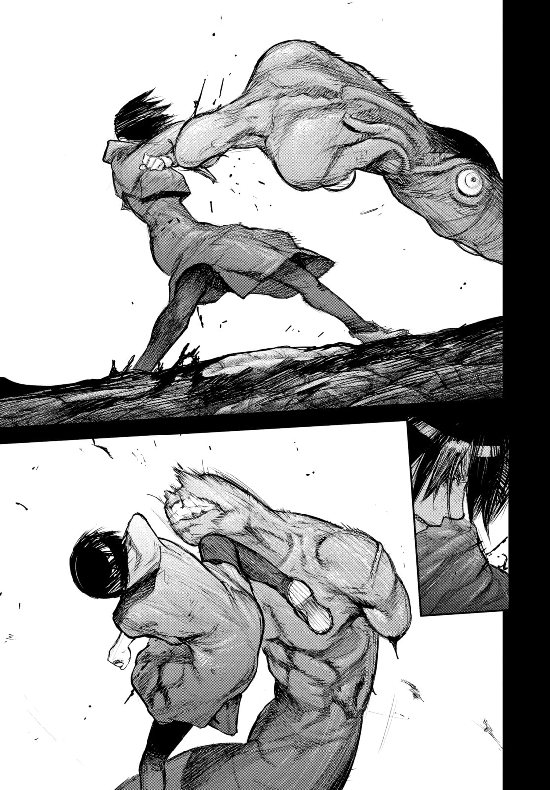 Tokyo Ghoul:re Chapter 160 page 13 - 