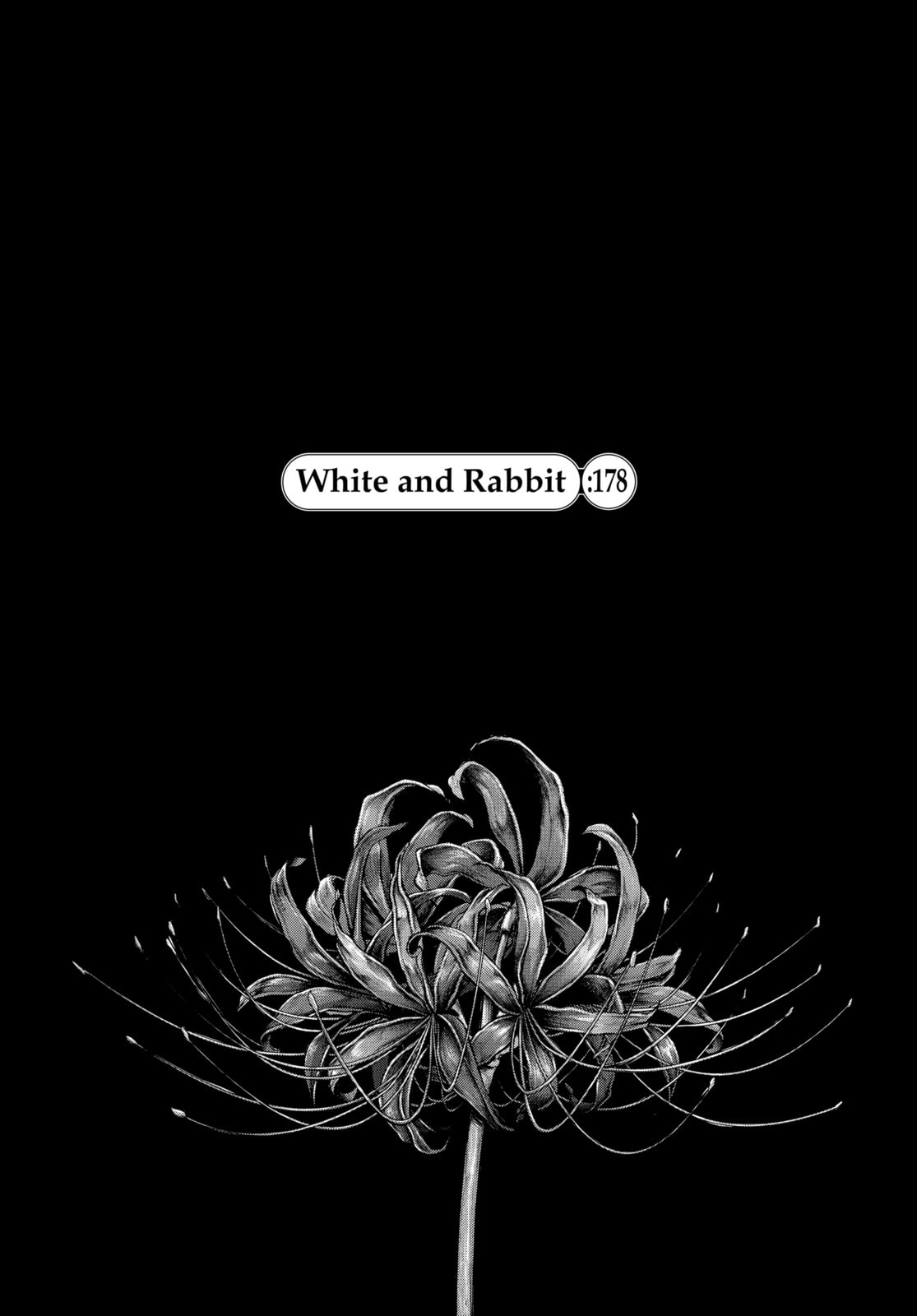 Tokyo Ghoul:re Chapter 178 page 1 - 