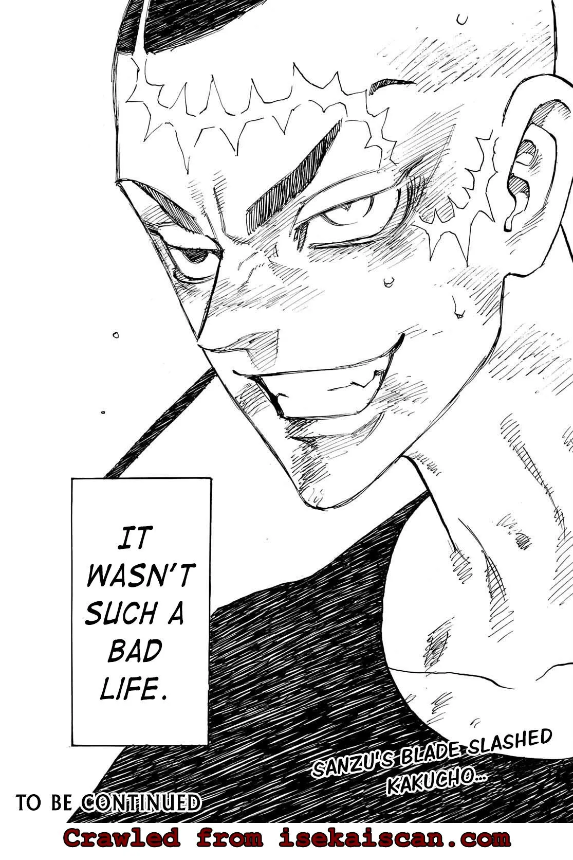 Tokyo Revengers Chapter 255 page 19 - 