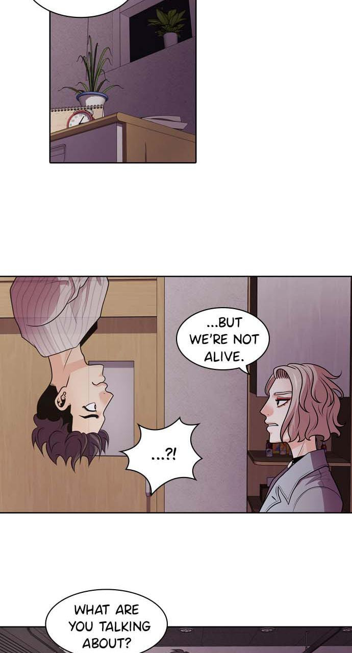 Tomorrow (Llama) Chapter 2 page 14 - 