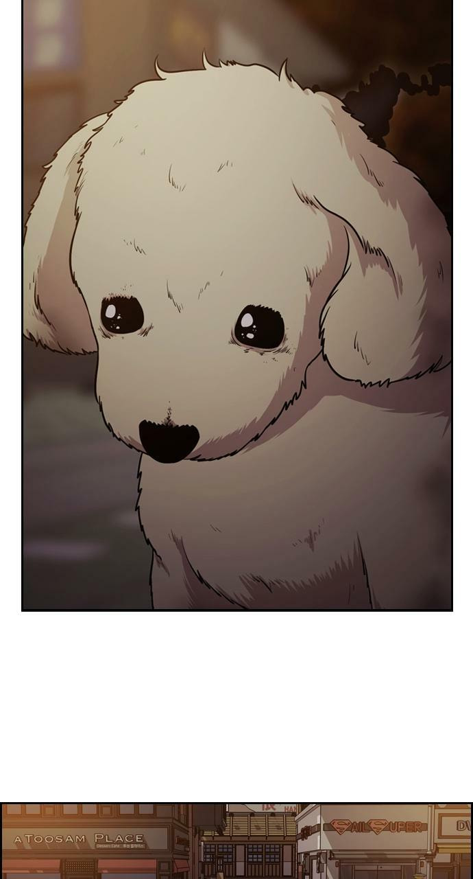 Tomorrow (Llama) Chapter 86 page 113 - 
