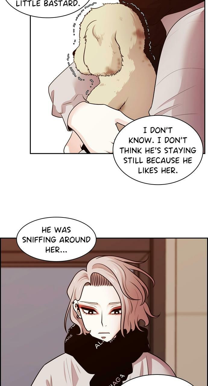 Tomorrow (Llama) Chapter 87 page 37 - 