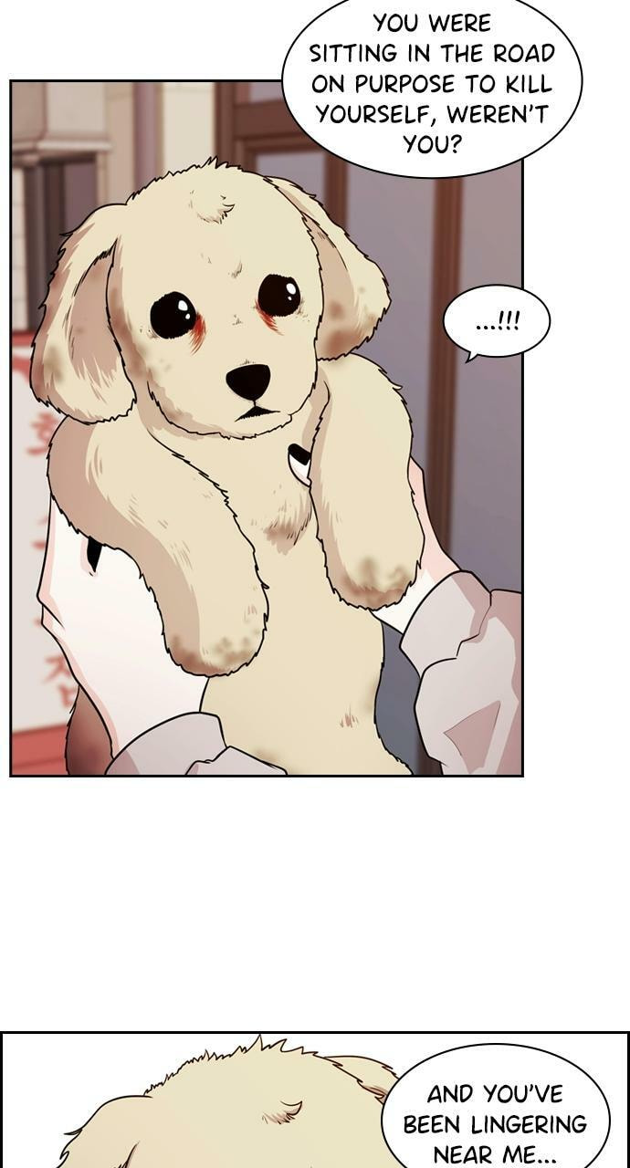 Tomorrow (Llama) Chapter 87 page 56 - 