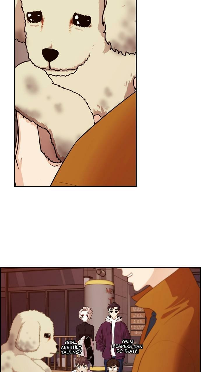 Tomorrow (Llama) Chapter 88 page 14 - 