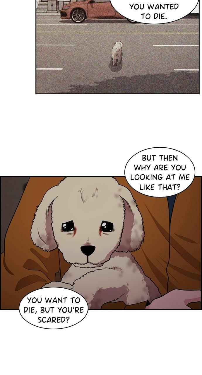 Tomorrow (Llama) Chapter 88 page 50 - 