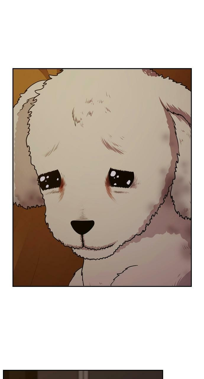 Tomorrow (Llama) Chapter 88 page 52 - 