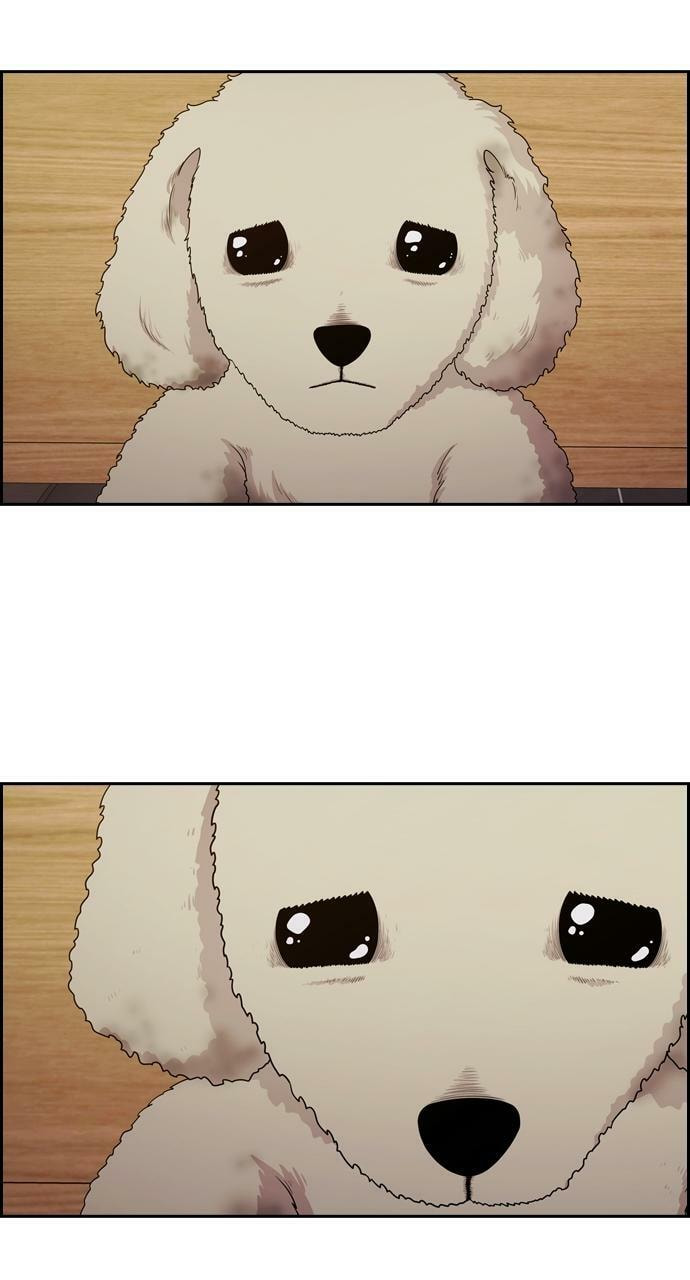 Tomorrow (Llama) Chapter 90 page 3 - 