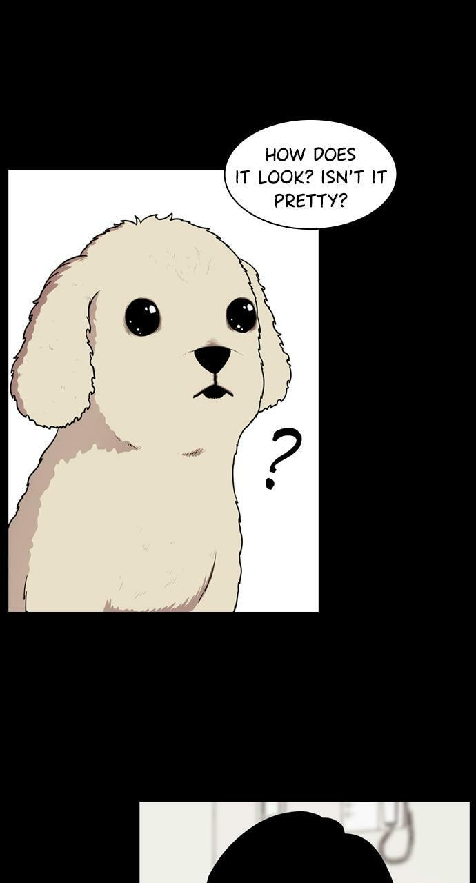 Tomorrow (Llama) Chapter 91 page 41 - 