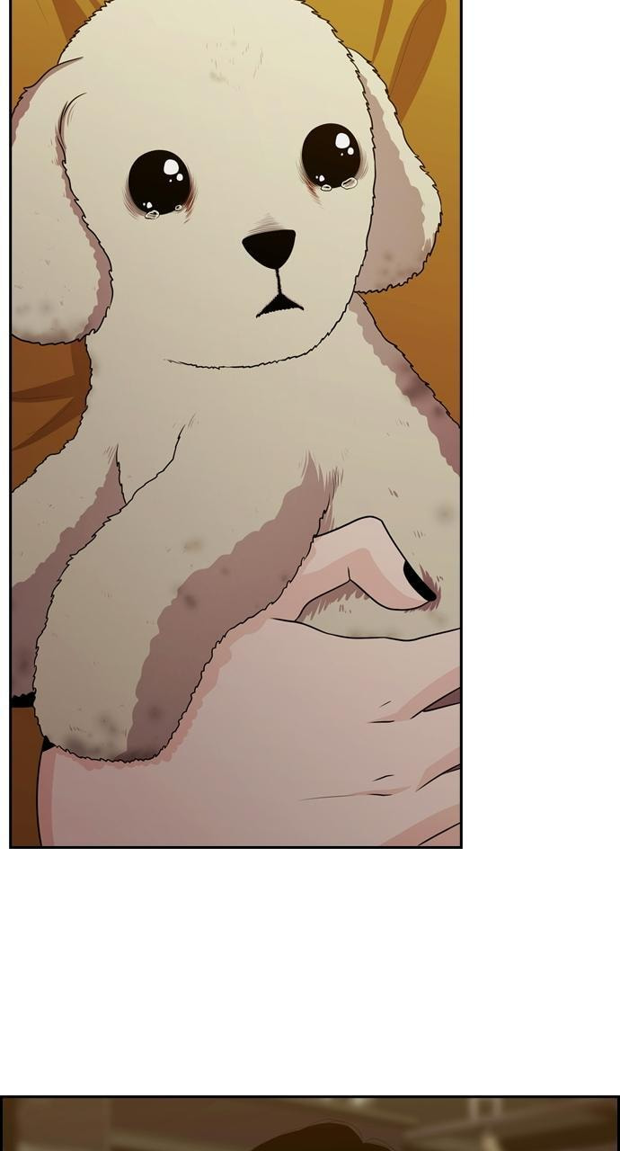 Tomorrow (Llama) Chapter 92 page 61 - 