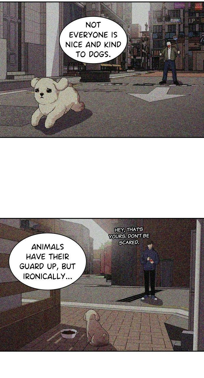 Tomorrow (Llama) Chapter 95 page 19 - 