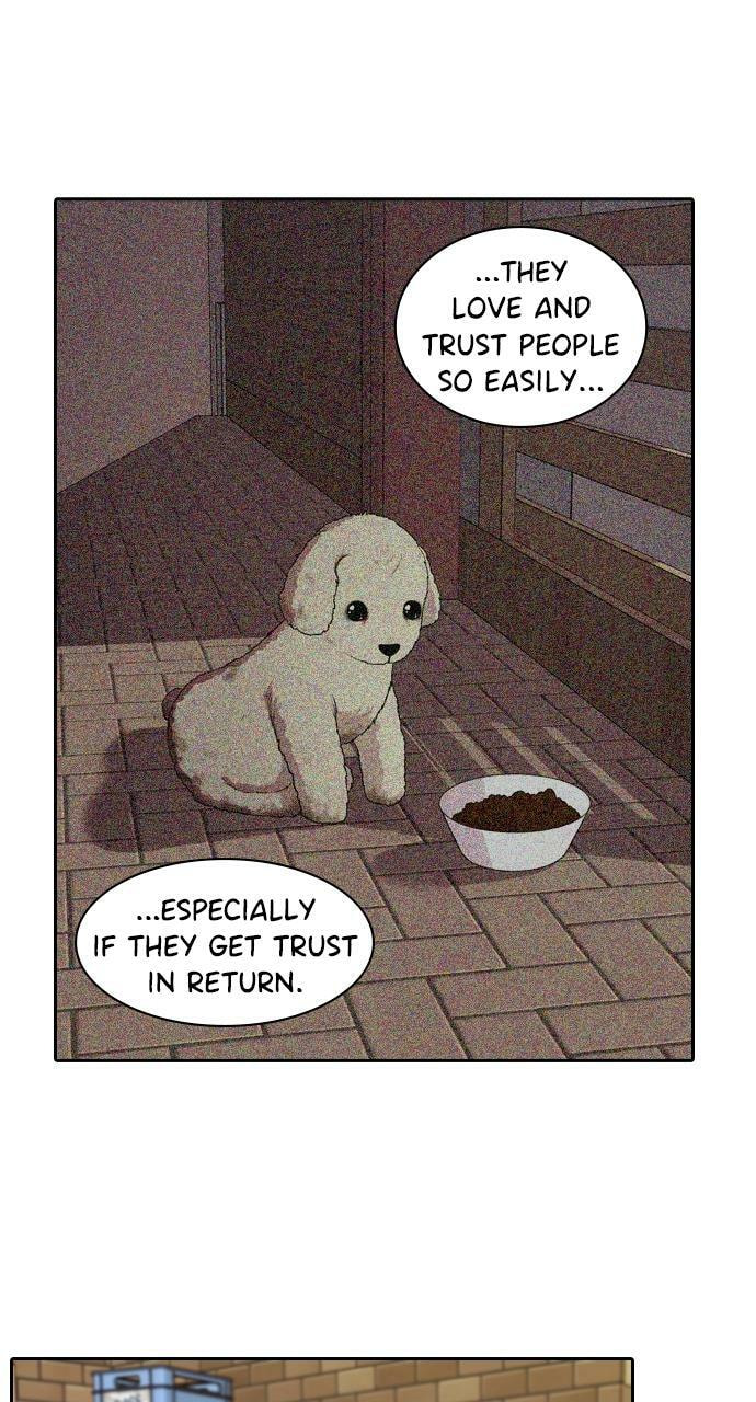 Tomorrow (Llama) Chapter 95 page 20 - 
