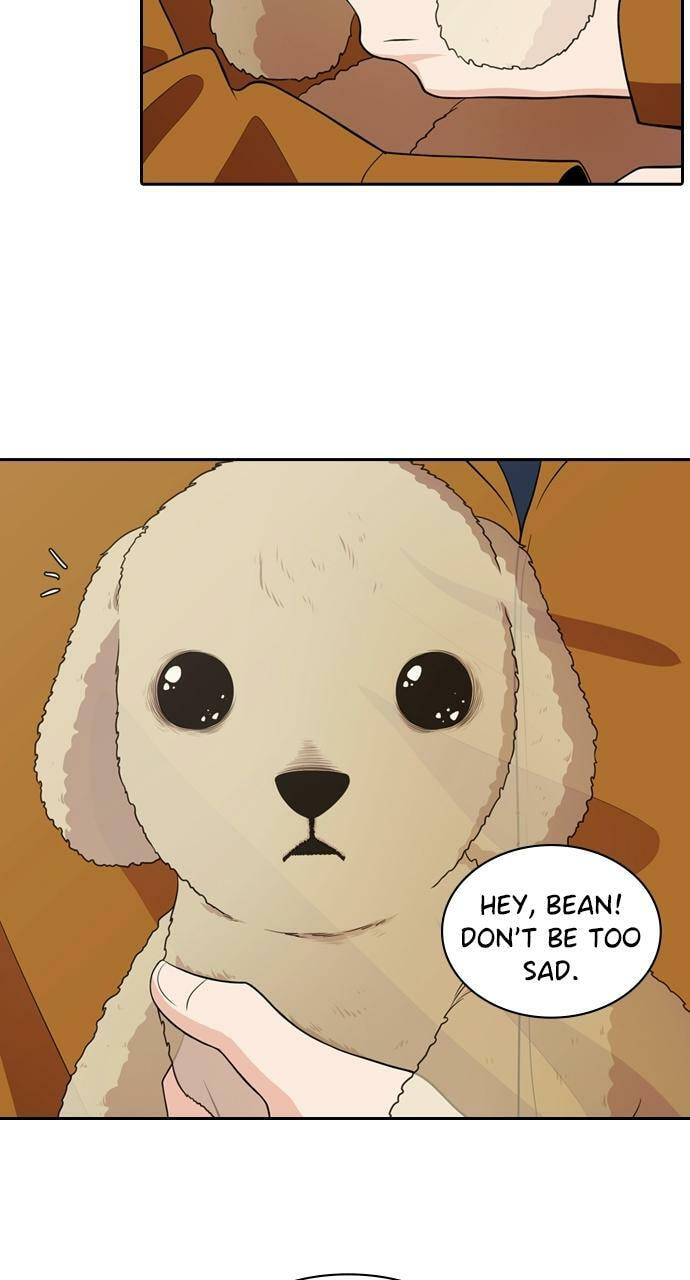 Tomorrow (Llama) Chapter 95 page 5 - 