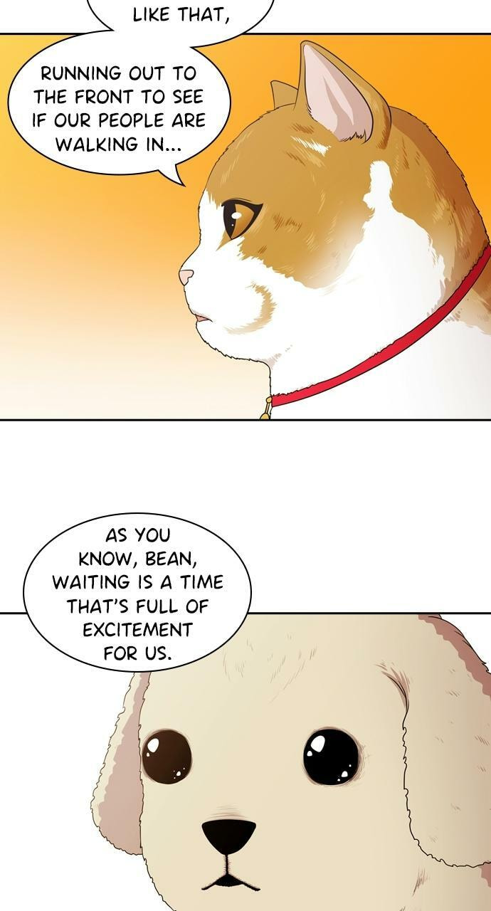 Tomorrow (Llama) Chapter 95 page 61 - 