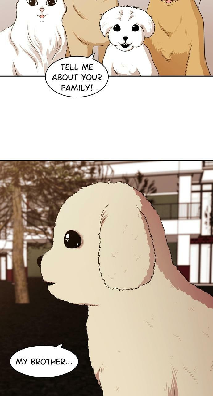 Tomorrow (Llama) Chapter 95 page 85 - 