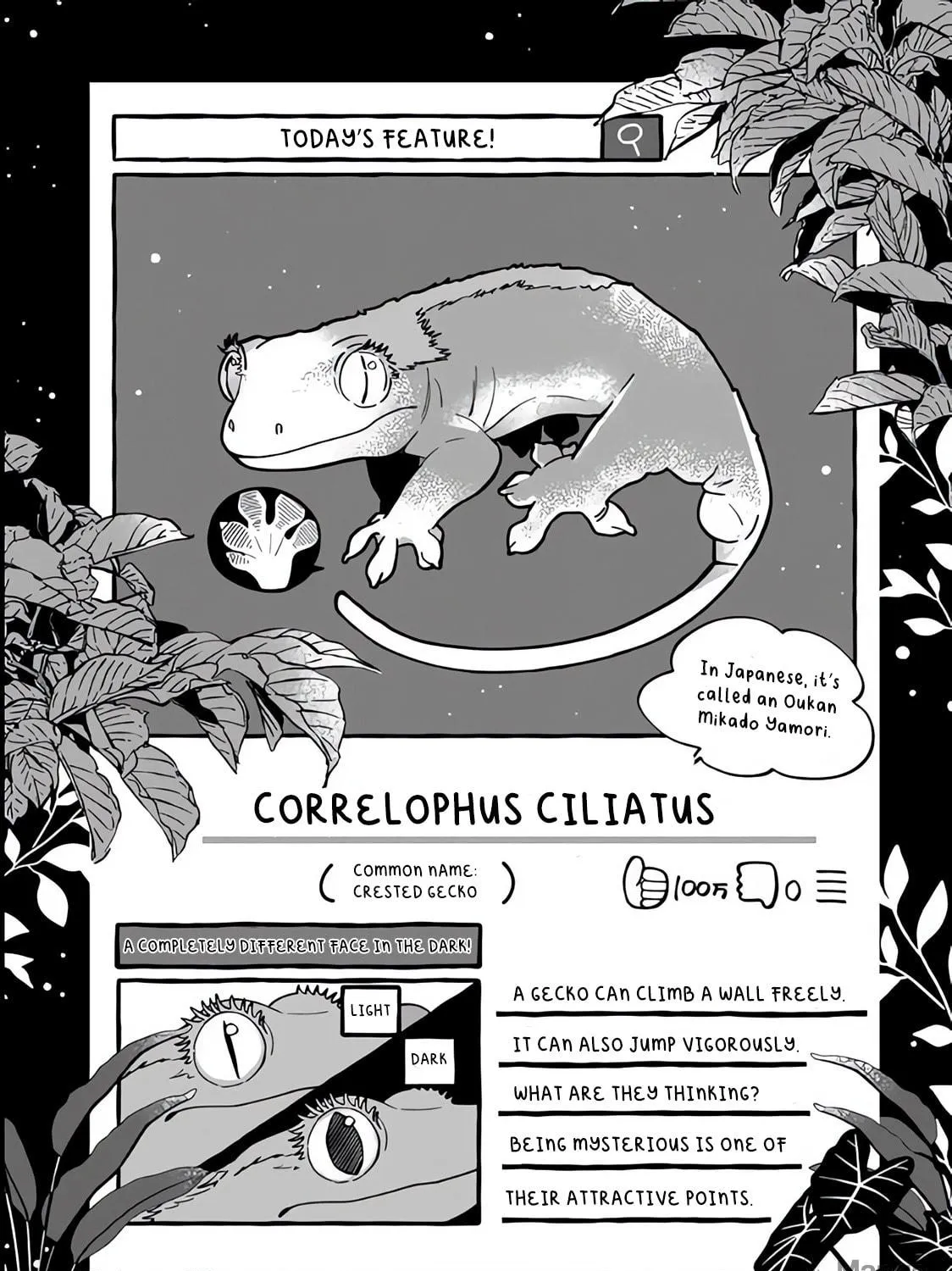 Tonari no Hachuurui-kun Chapter 3 page 39 - 