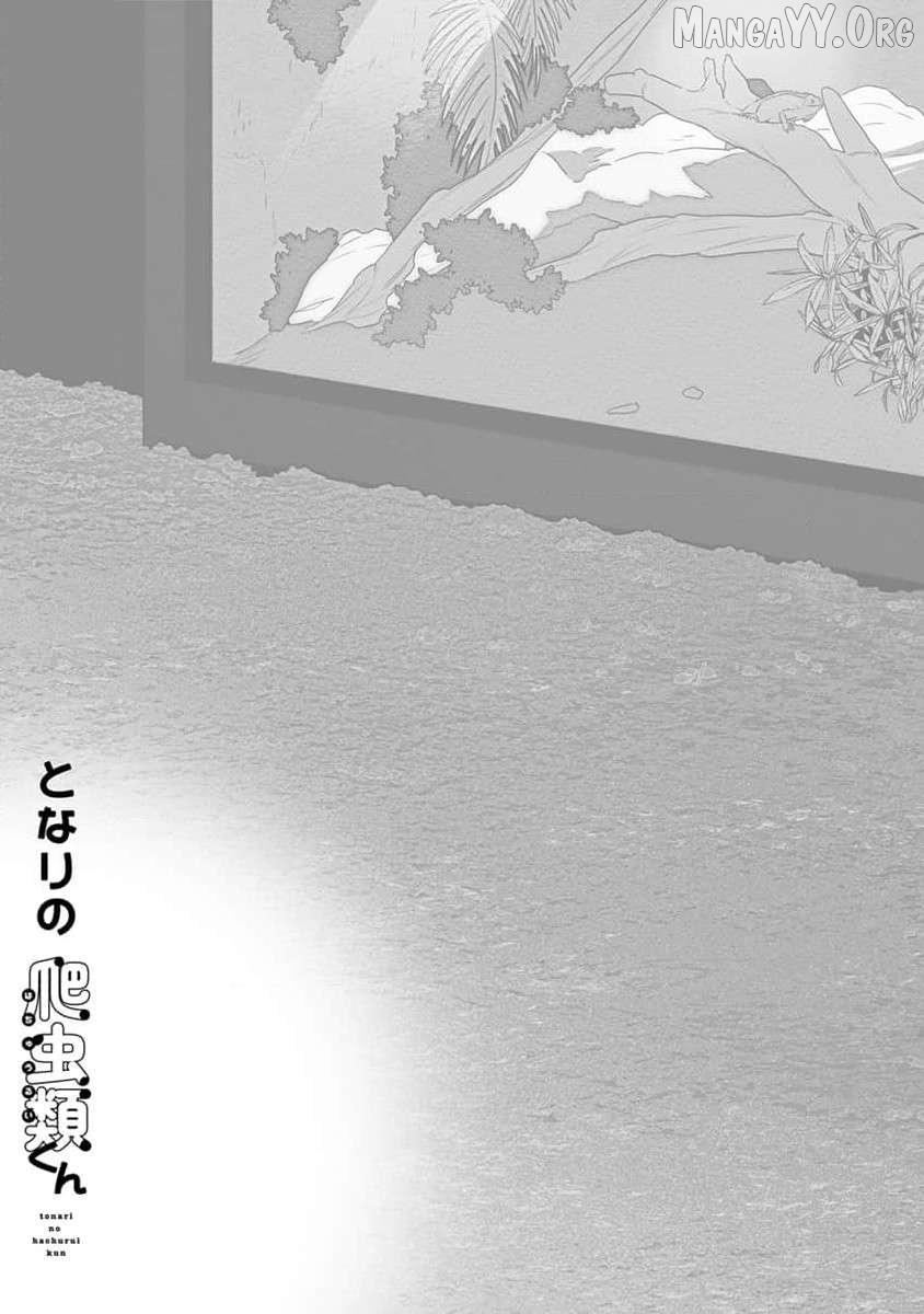 Tonari no Hachuurui-kun Chapter 7 page 26 - 