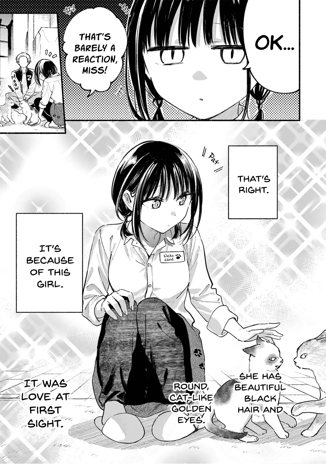 Tonari no Neko to Koi Shirazu Chapter 12.5 page 3 - 