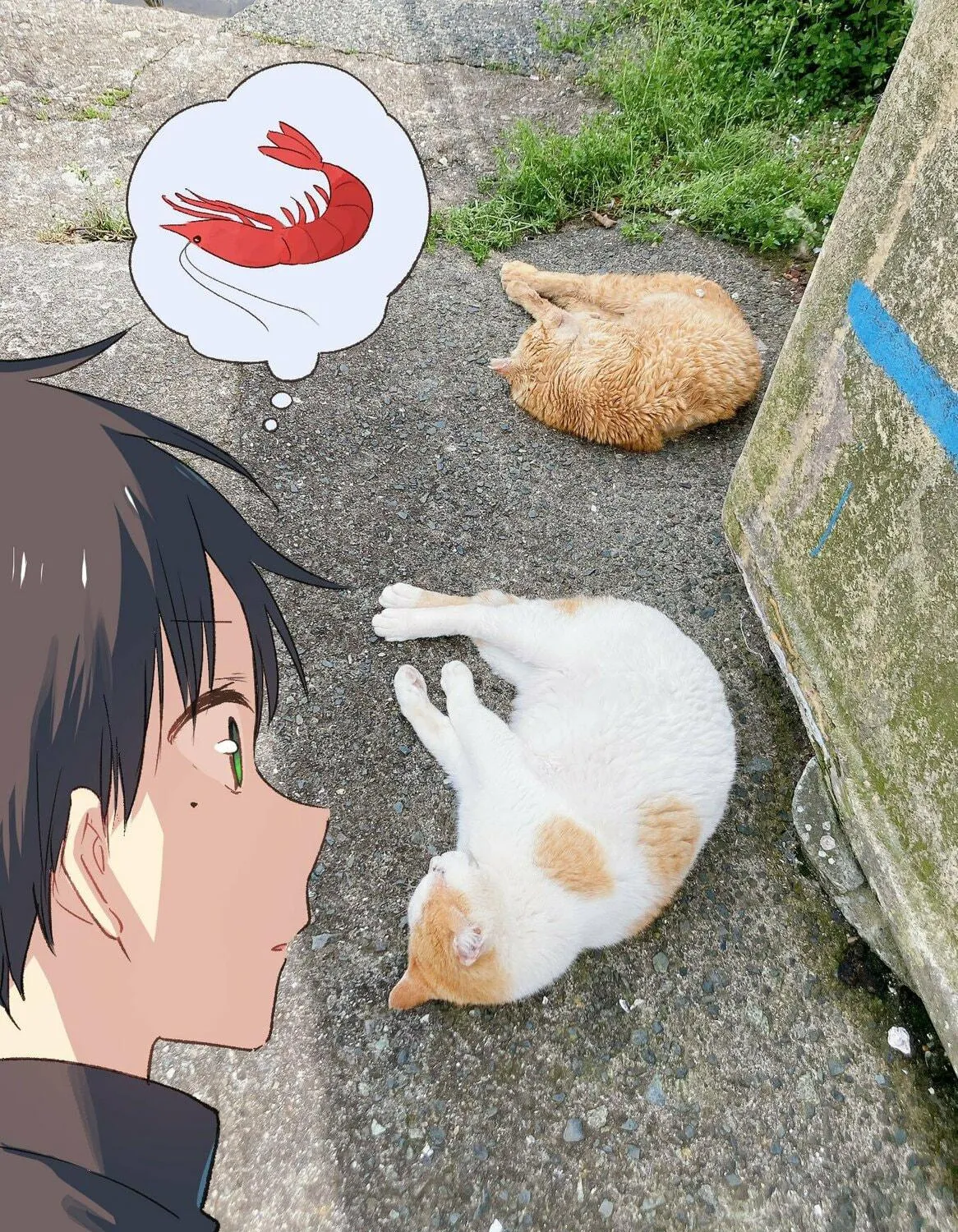 Tonari no Neko to Koi Shirazu Chapter 14.5 page 18 - 