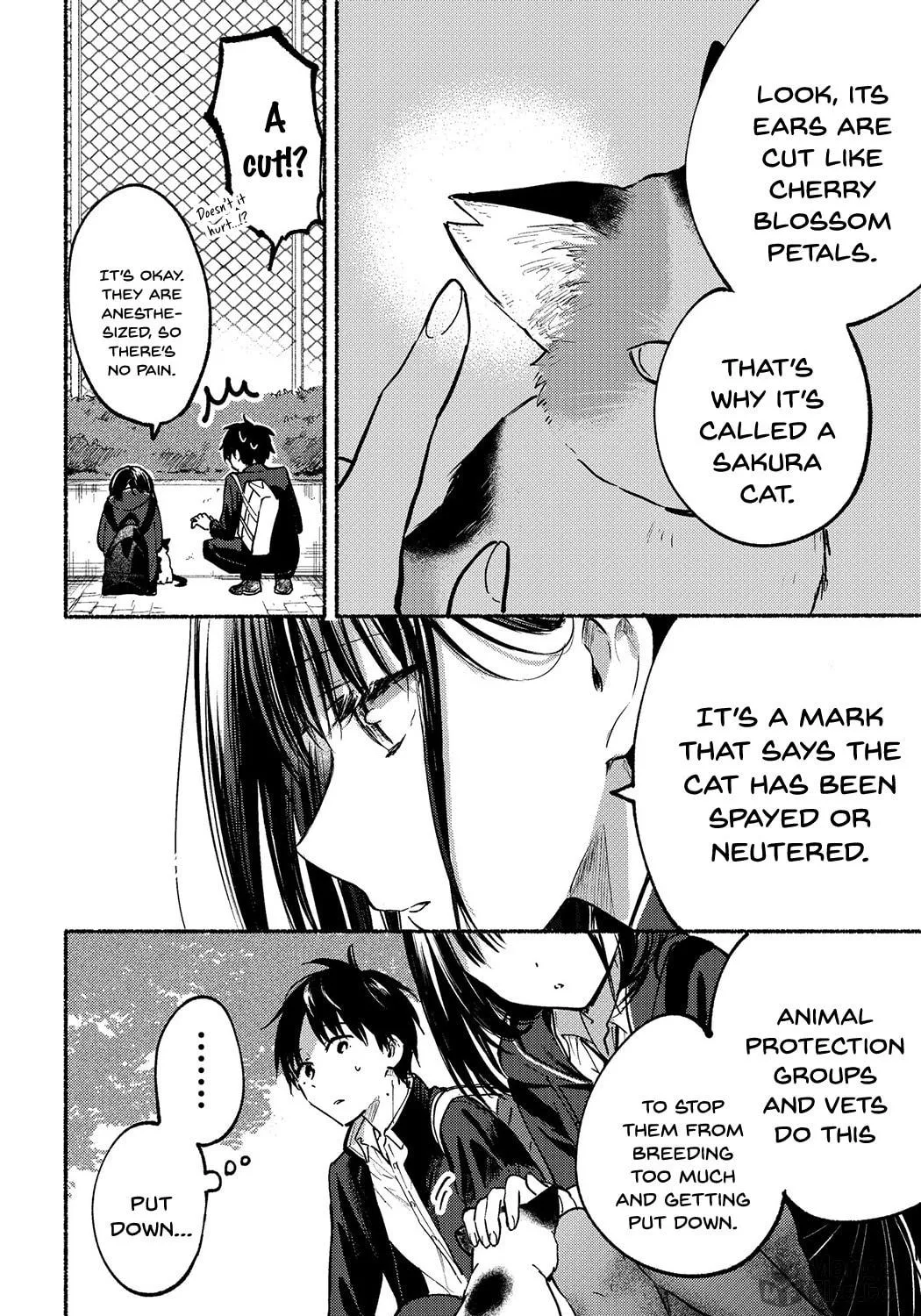Tonari no Neko to Koi Shirazu Chapter 2 page 14 - 