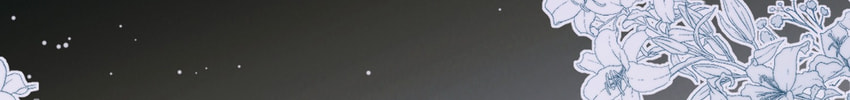 Tonglei Chapter 4 page 260 - 