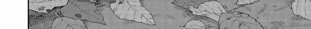 Tonikaku Kawaii Chapter 136.7 page 20 - 