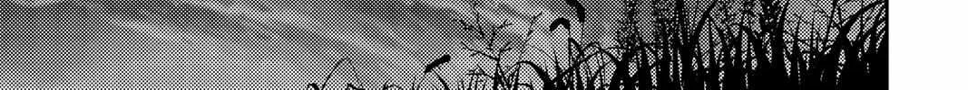Tonikaku Kawaii Chapter 136.7 page 22 - 