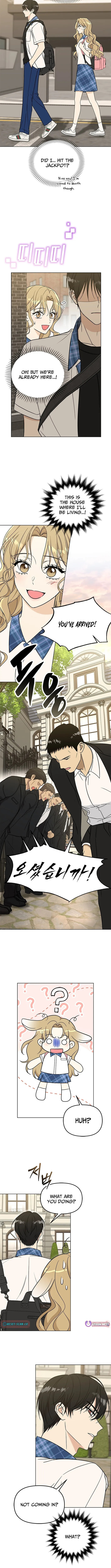 Toning Down the Gangster Male Lead Chapter 1 page 16 - 