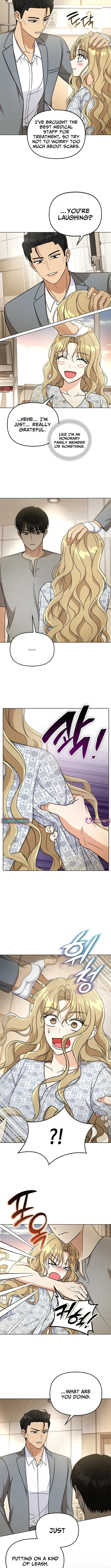 Toning Down the Gangster Male Lead Chapter 12 page 11 - 