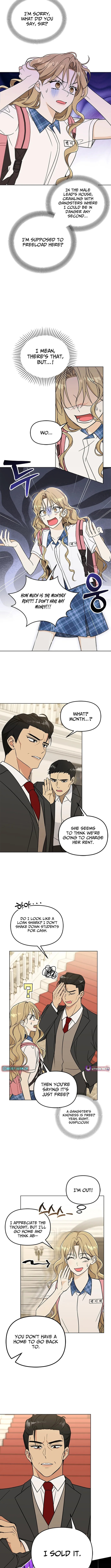 Toning Down the Gangster Male Lead Chapter 2 page 3 - 