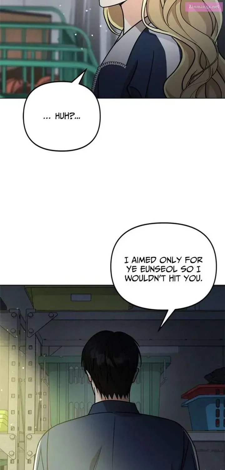 Toning Down the Gangster Male Lead Chapter 27 page 13 - 