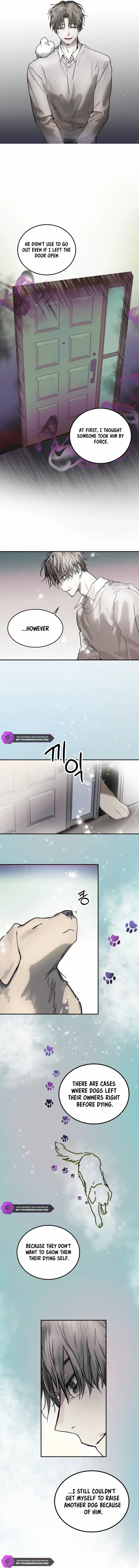 Top Star Sent by God Chapter 4 page 8 - 