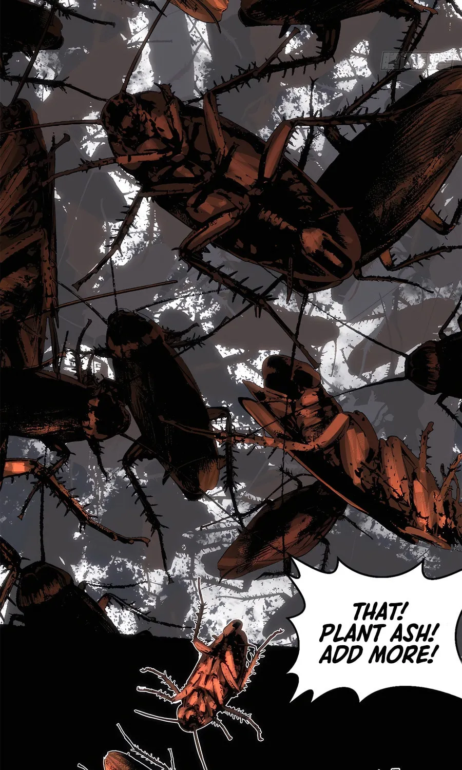 Top Tier Providence Chapter 215 page 12 - 