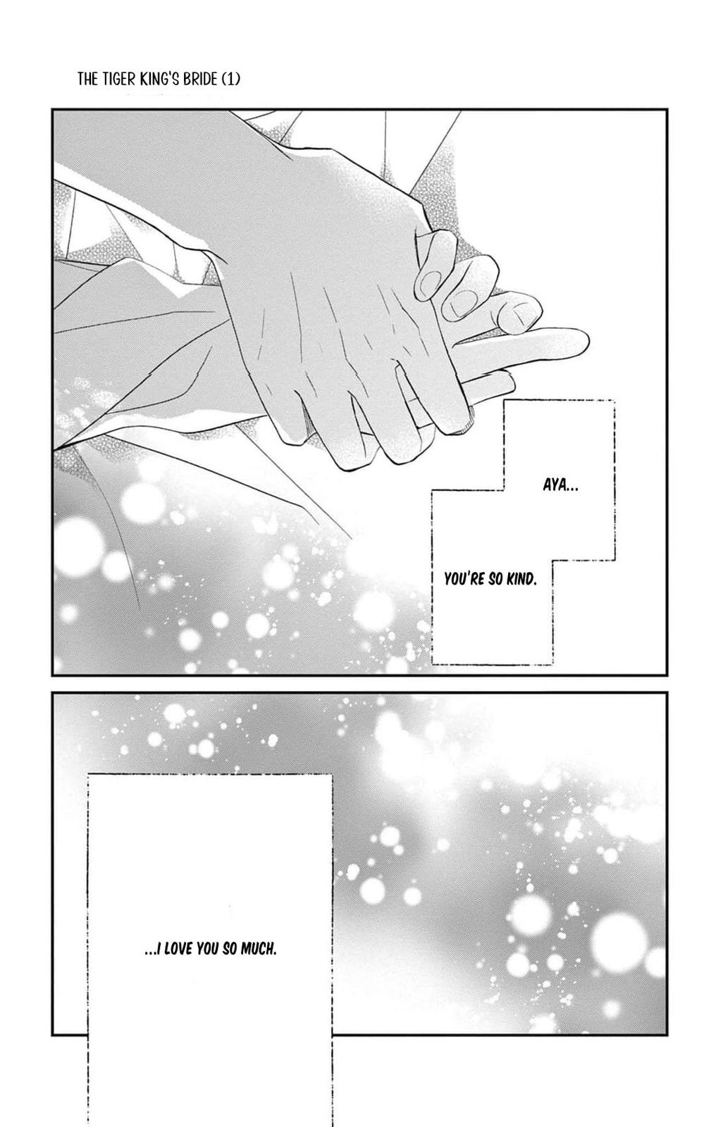 Tora-Ou no Hanayome-san Chapter 1 page 22 - 