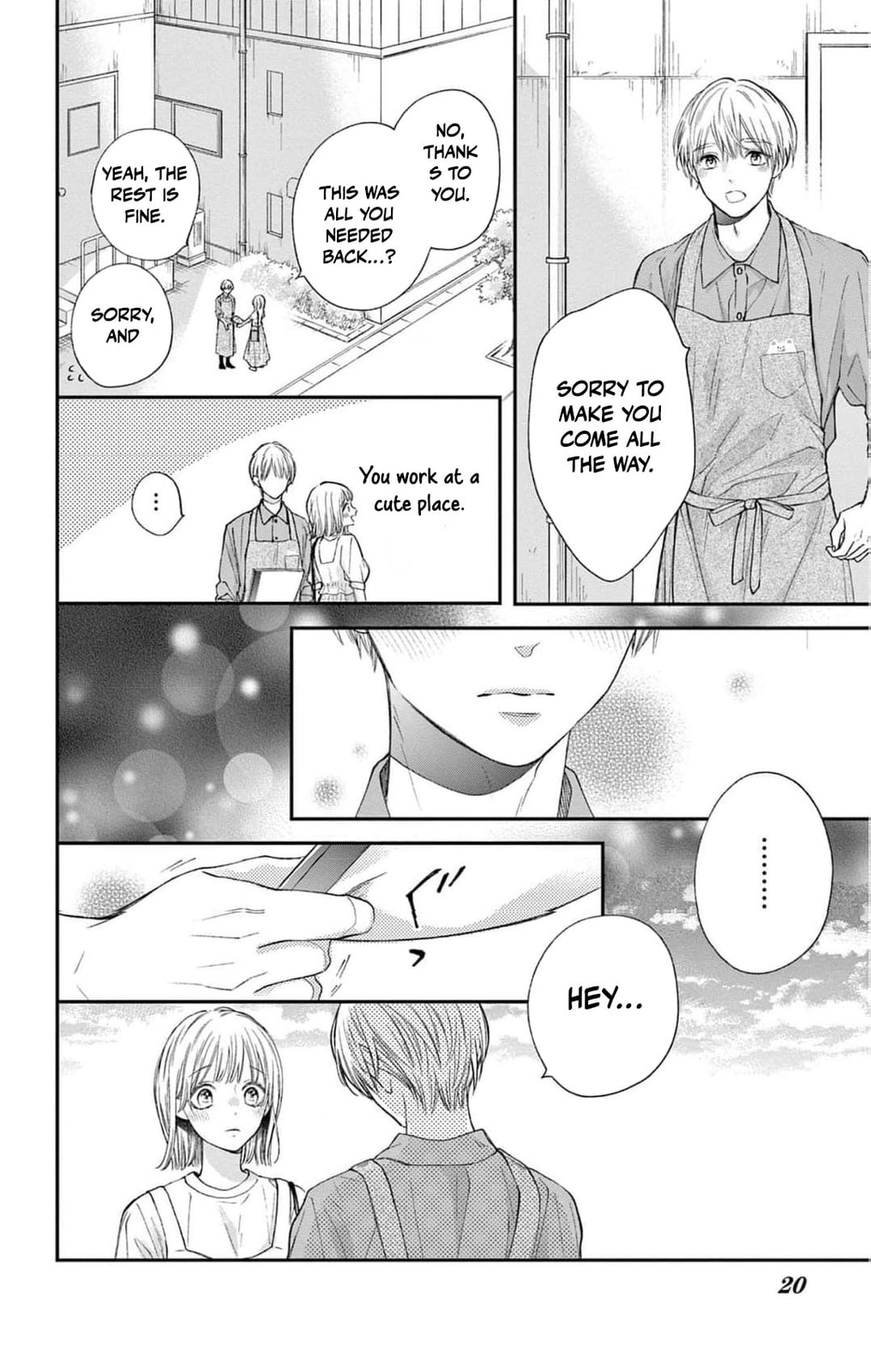 Tora-Ou no Hanayome-san Chapter 15 page 21 - 