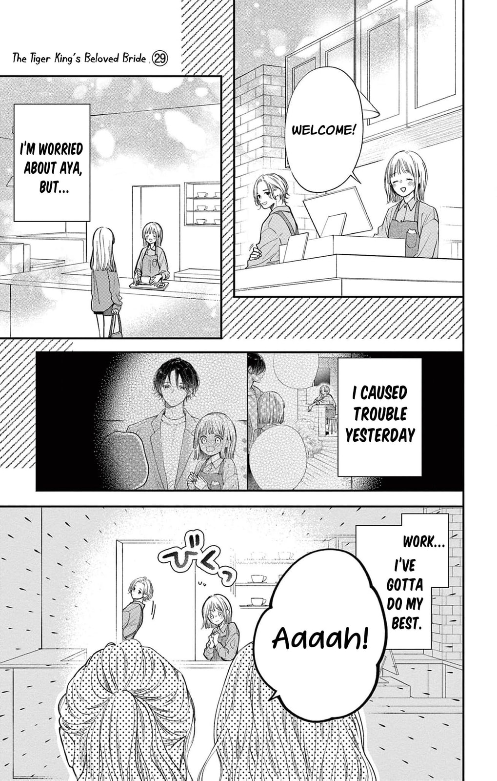 Tora-Ou no Hanayome-san Chapter 29 page 14 - 