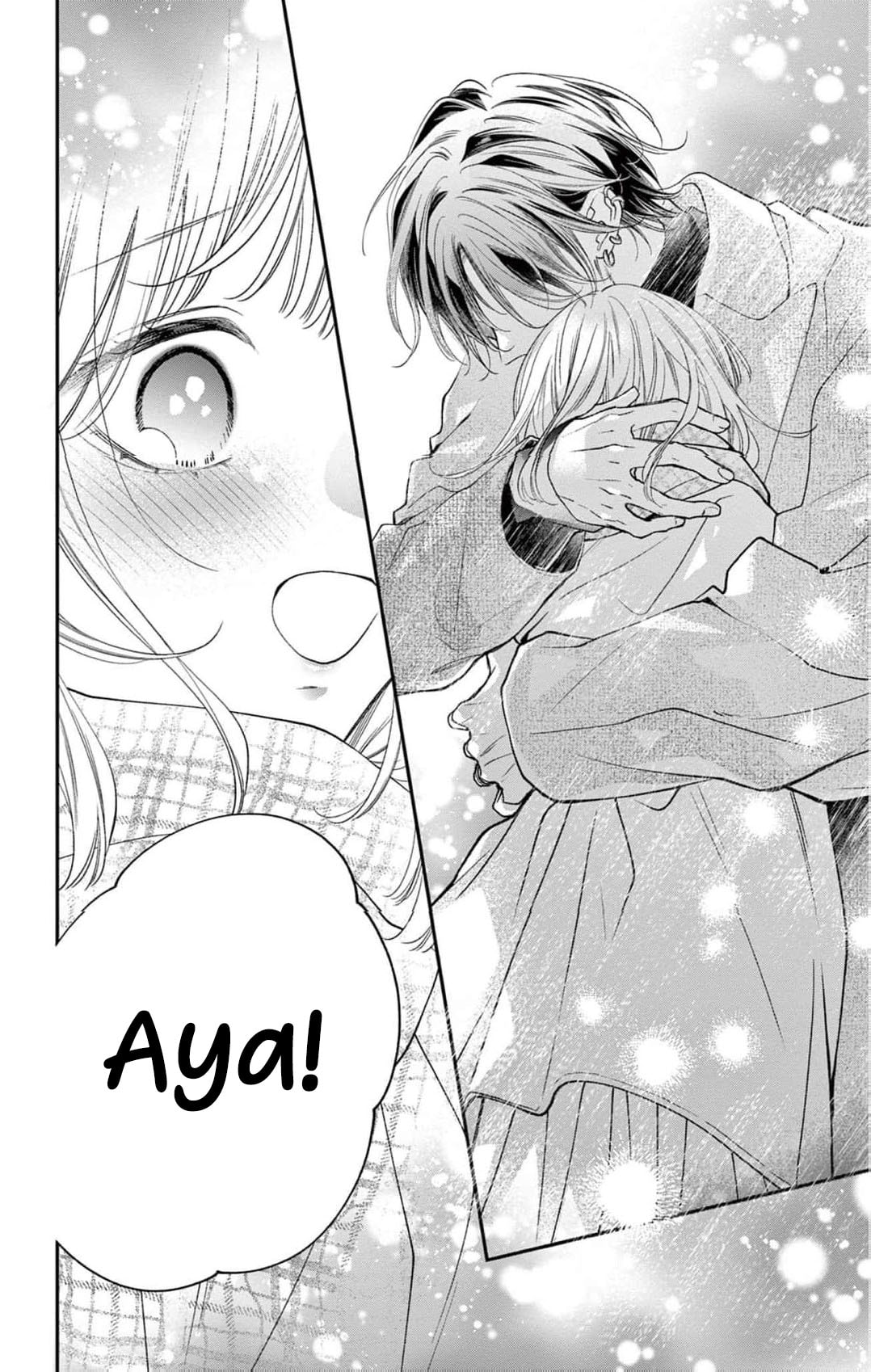 Tora-Ou no Hanayome-san Chapter 38 page 15 - 