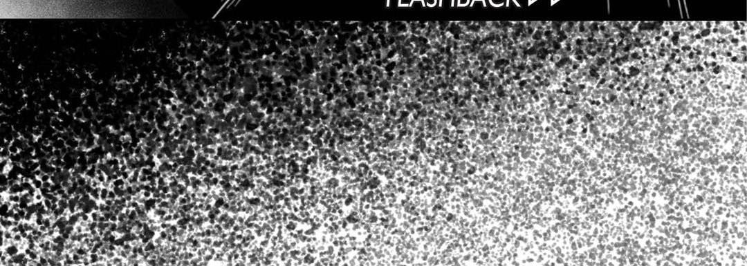 Totally Captivated Chapter 27 page 36 - 