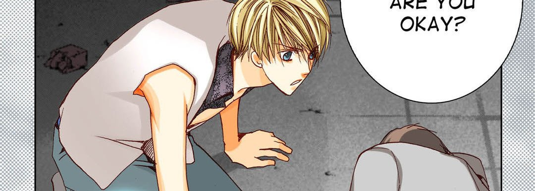 Totally Captivated Chapter 33 page 30 - 