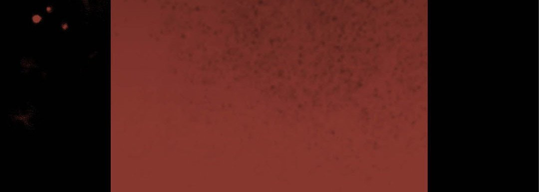 Totally Captivated Chapter 45 page 36 - 