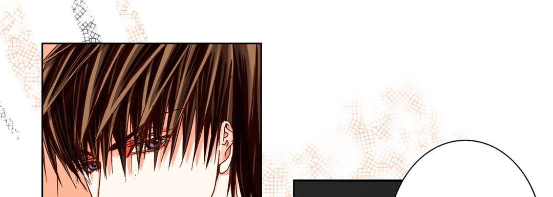 Totally Captivated Chapter 52 page 17 - 