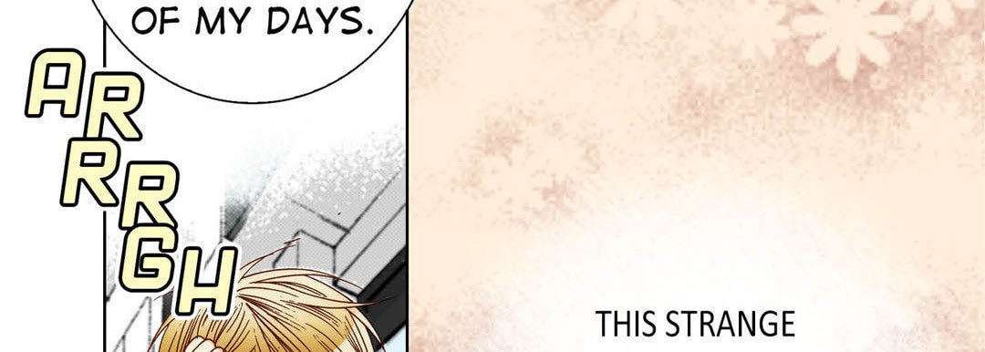Totally Captivated Chapter 81 page 94 - 